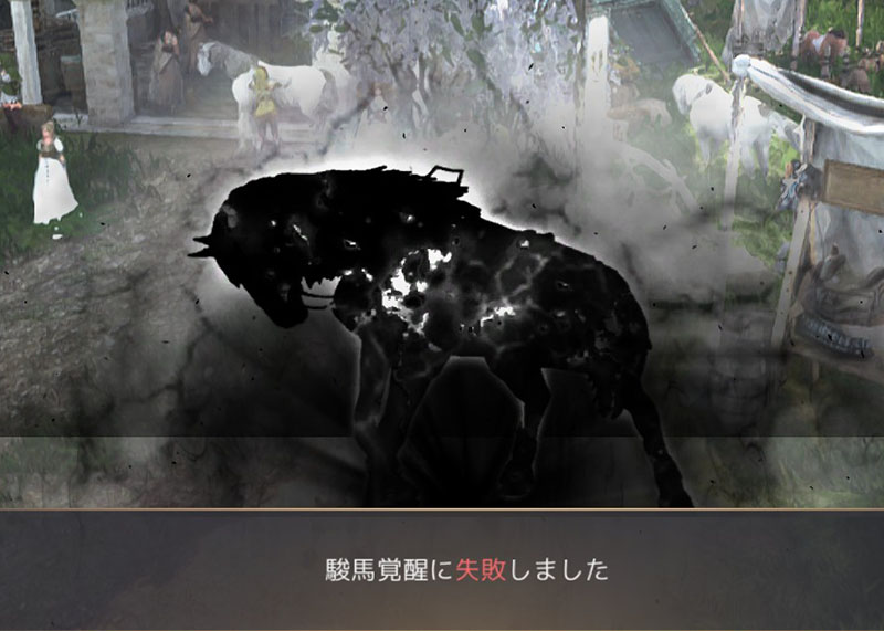 幻想馬訓練