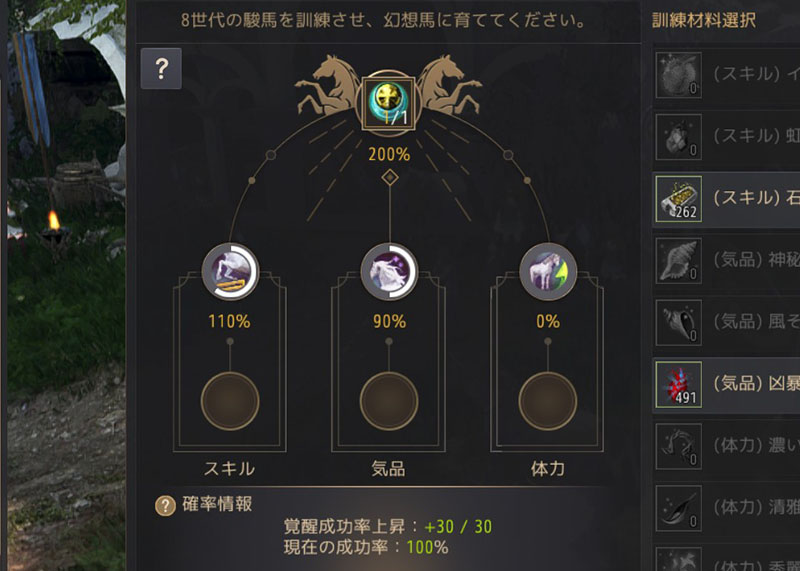 幻想馬訓練