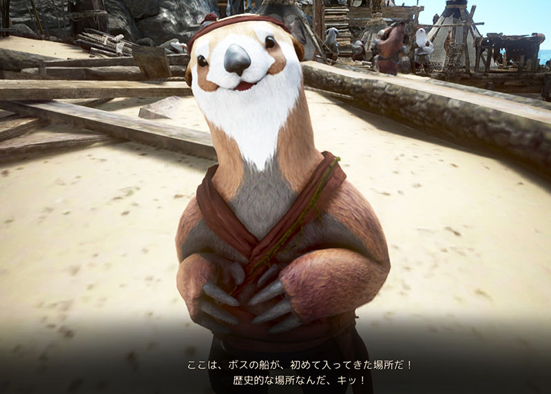 ラッコ島