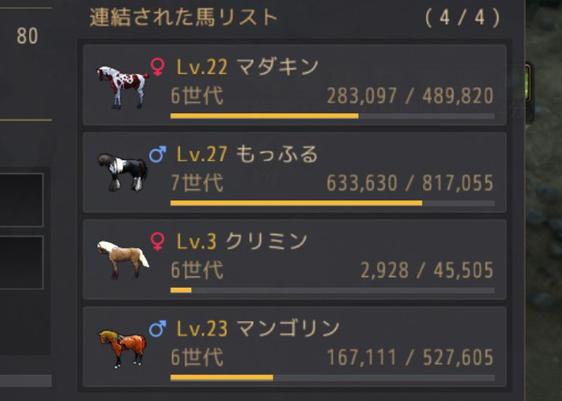馬