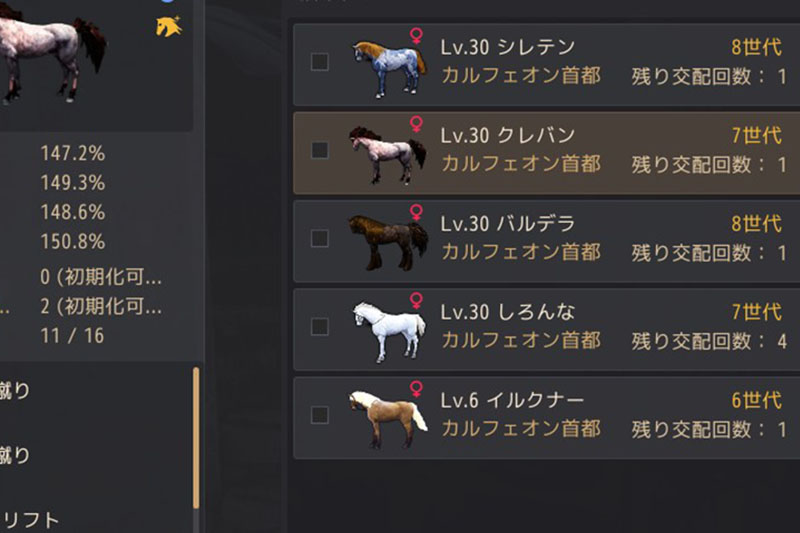 皇室馬