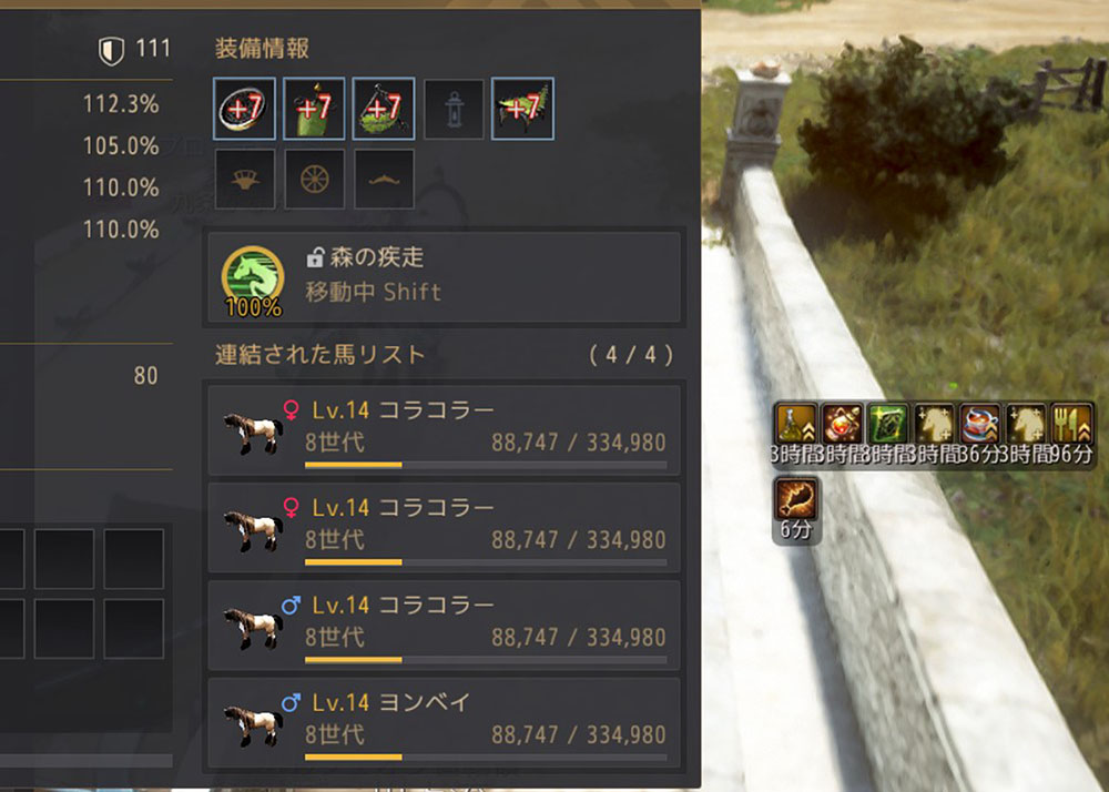 調教