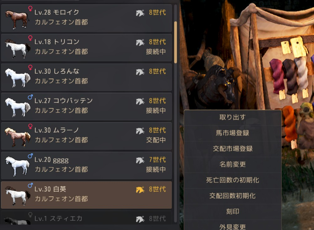 調教