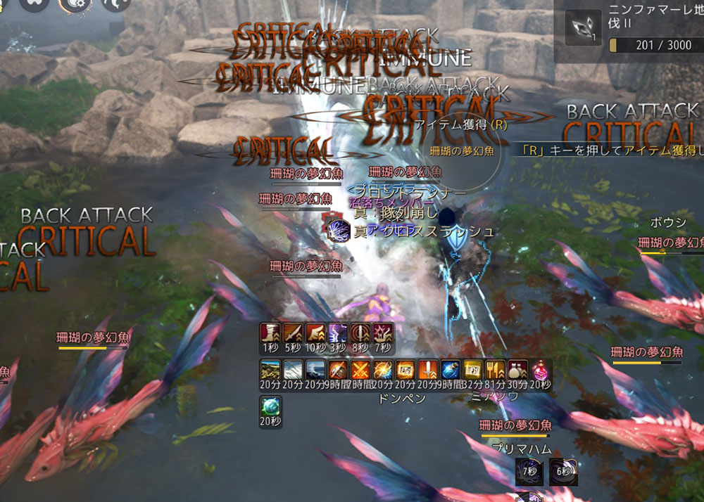 ニンファマーレ