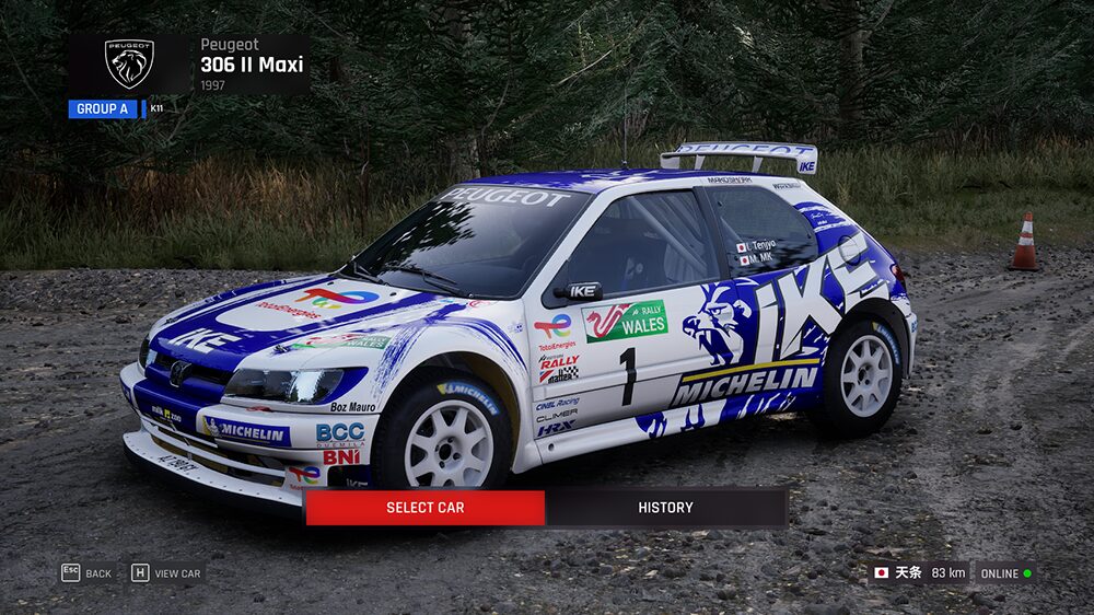 Assetto Corsa Rally