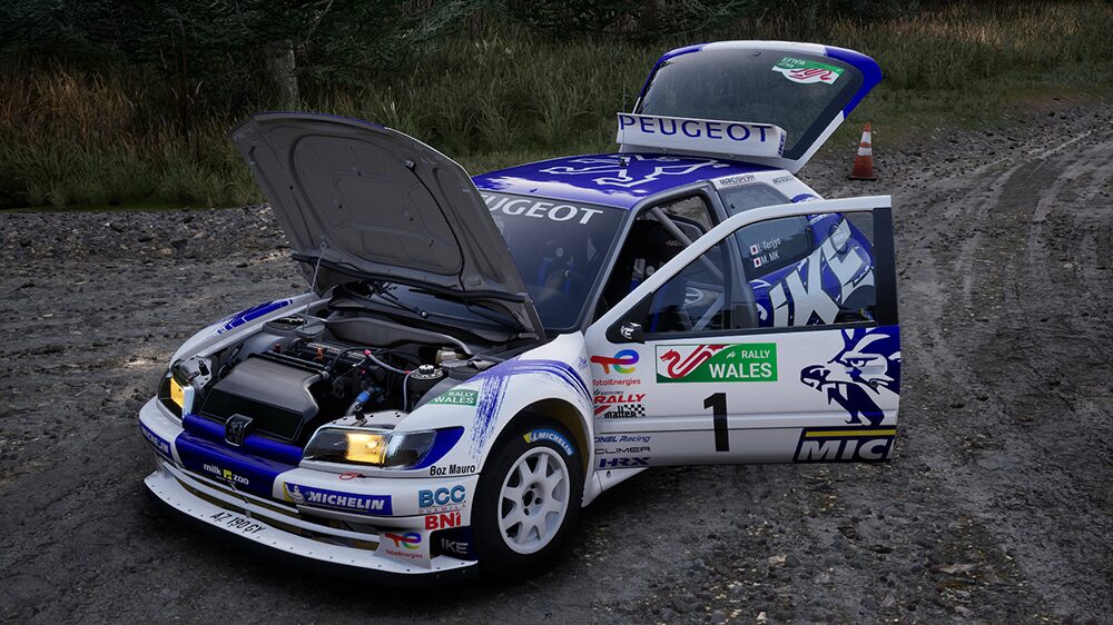 Assetto Corsa Rally