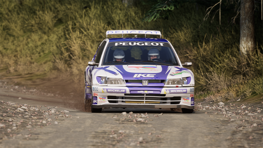 Assetto Corsa Rally