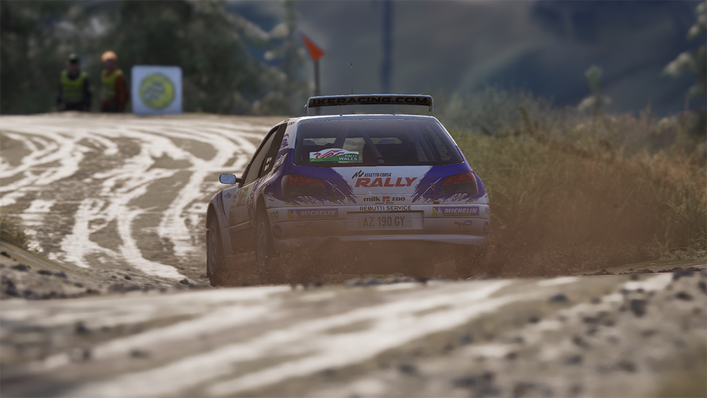 Assetto Corsa Rally